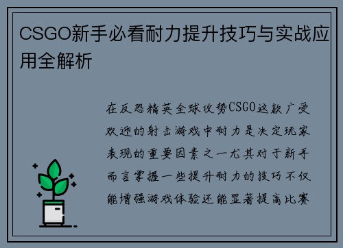CSGO新手必看耐力提升技巧与实战应用全解析