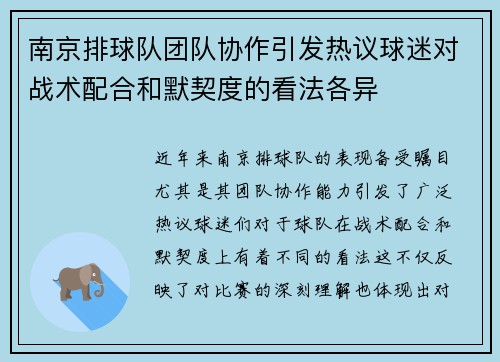 南京排球队团队协作引发热议球迷对战术配合和默契度的看法各异