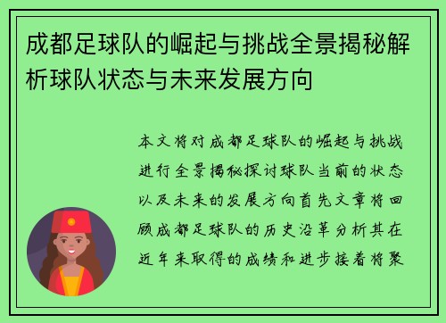 成都足球队的崛起与挑战全景揭秘解析球队状态与未来发展方向